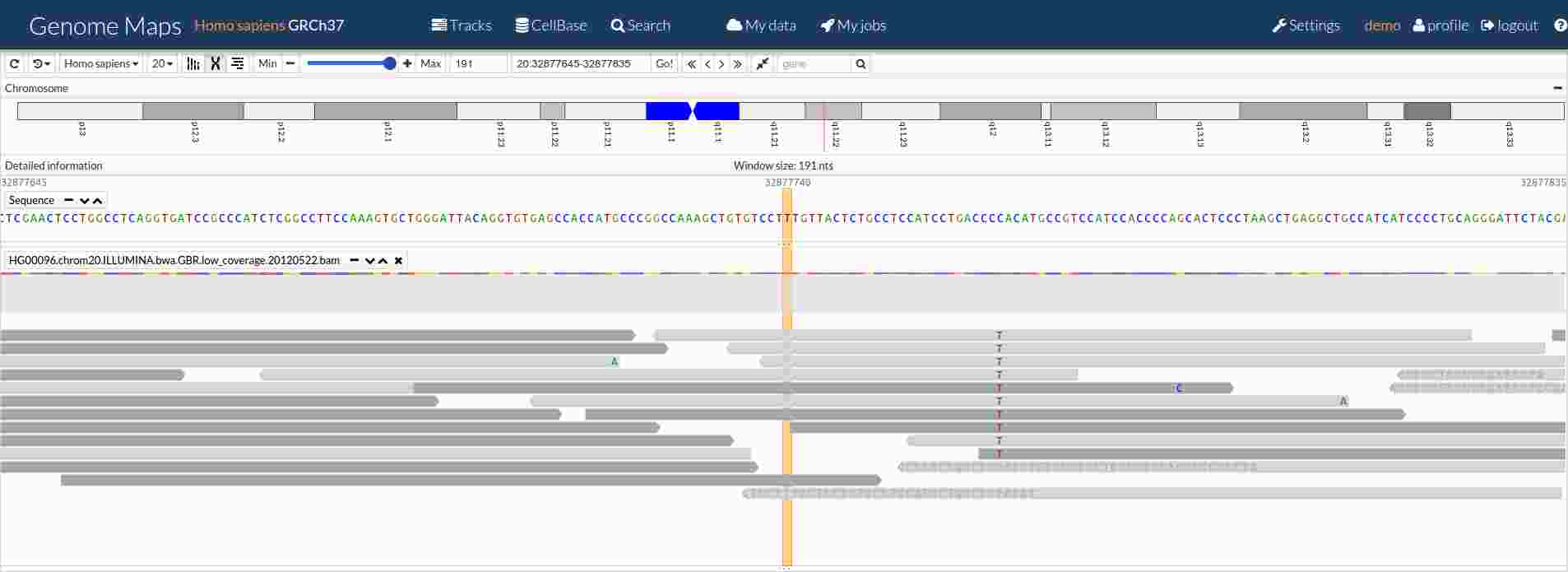 1000g Bam visualization